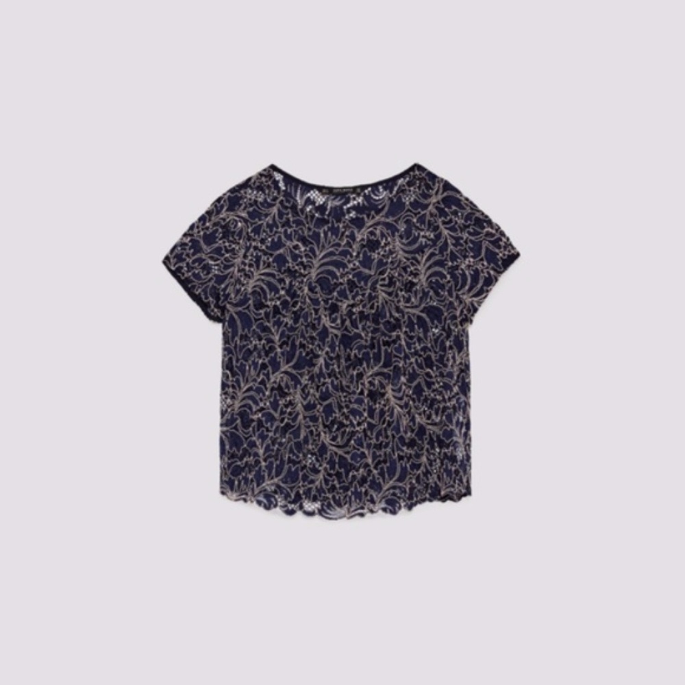 NWT ZARA Two-toned Lace Top